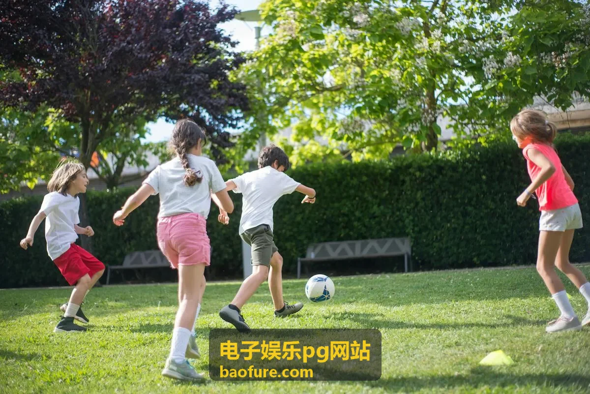 电子娱乐PG网站平台评测参考封面图