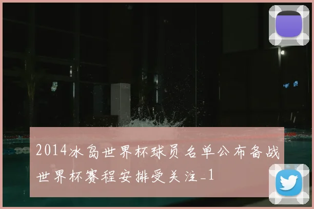 2014冰岛世界杯球员名单公布备战世界杯赛程安排受关注_1