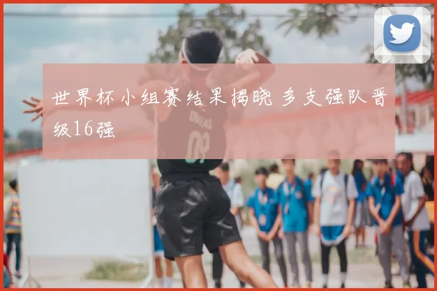 世界杯小组赛结果揭晓 多支强队晋级16强
